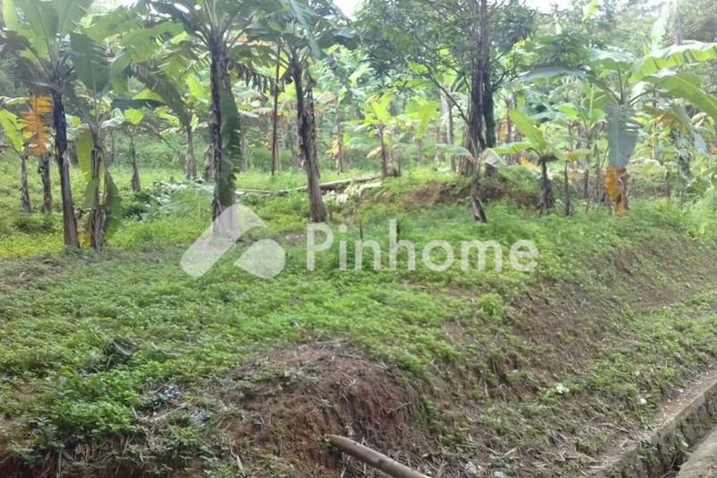 dijual tanah komersial strategis di banaran - 2