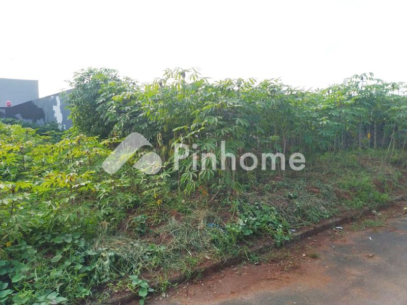 dijual tanah komersial lokasi strategis di banaran tengah - 2
