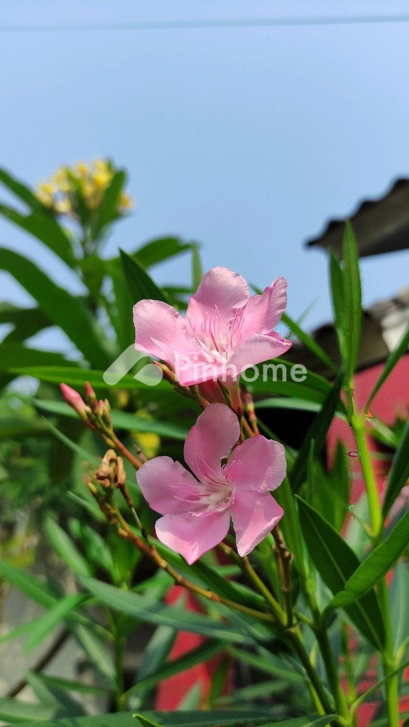 Sewa Apartemen di Babakan Madang, Kab. Bogor, 1 KM, 2 KT, LB 100m² - 2