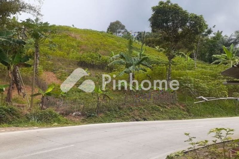 dijual tanah komersial untuk ruko di demen - 2