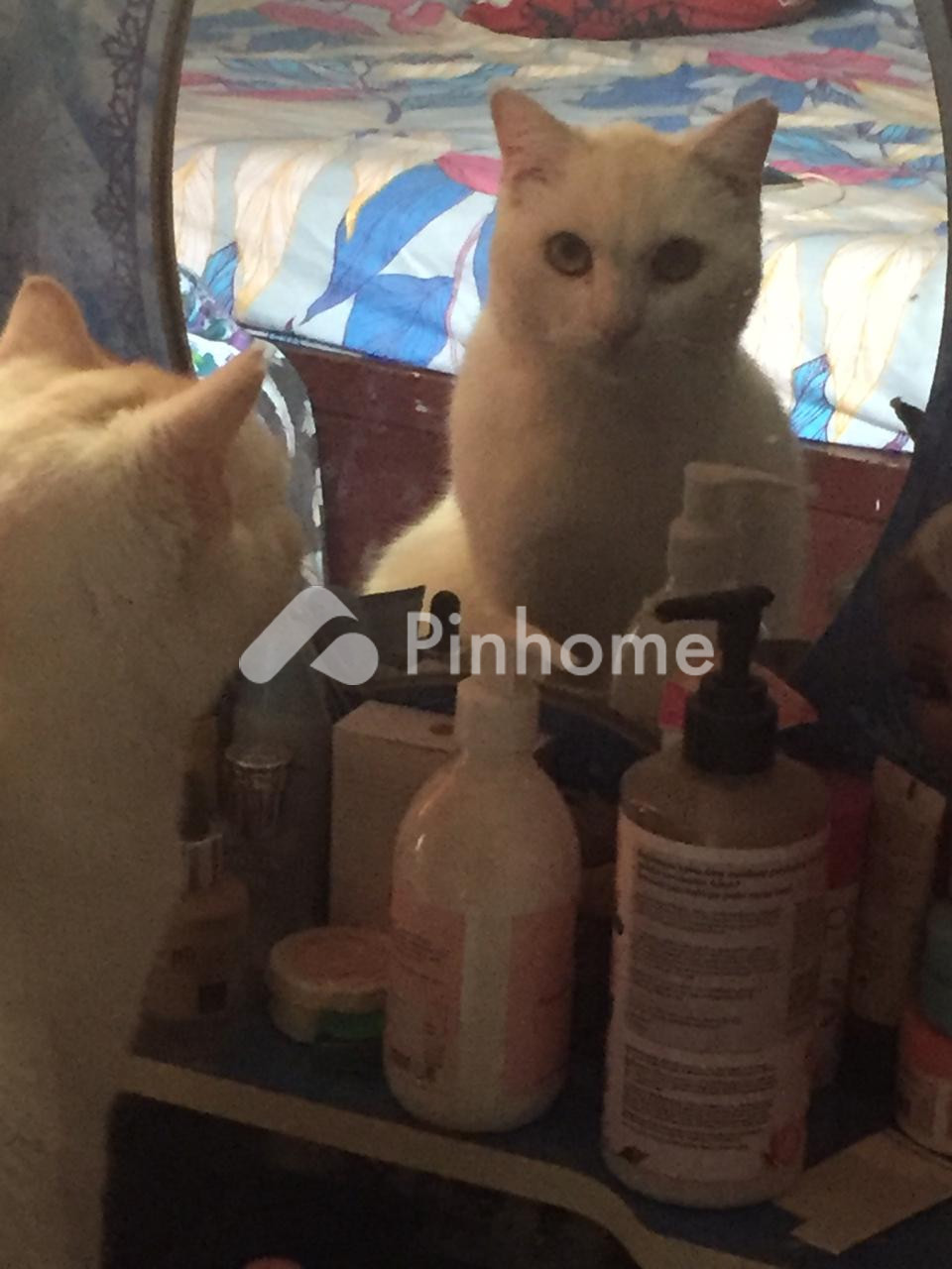 dijual apartemen 100m2 di cat apart