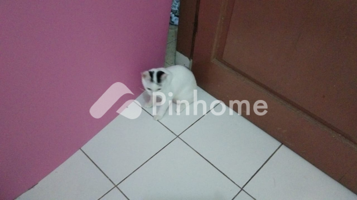 disewakan apartemen plis muncul di bandar pasir mandoge
