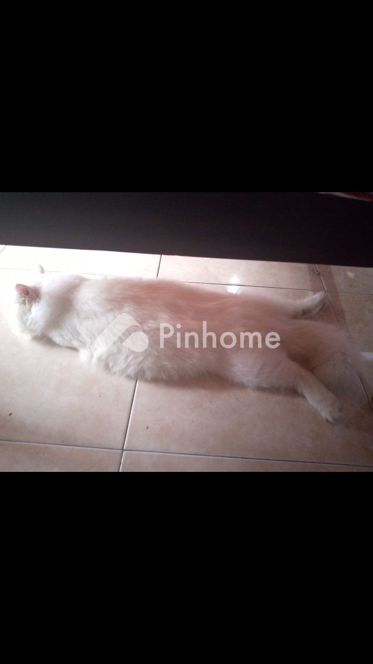 dijual rumah 1 lantai 1kt 6m2 di sungai alai