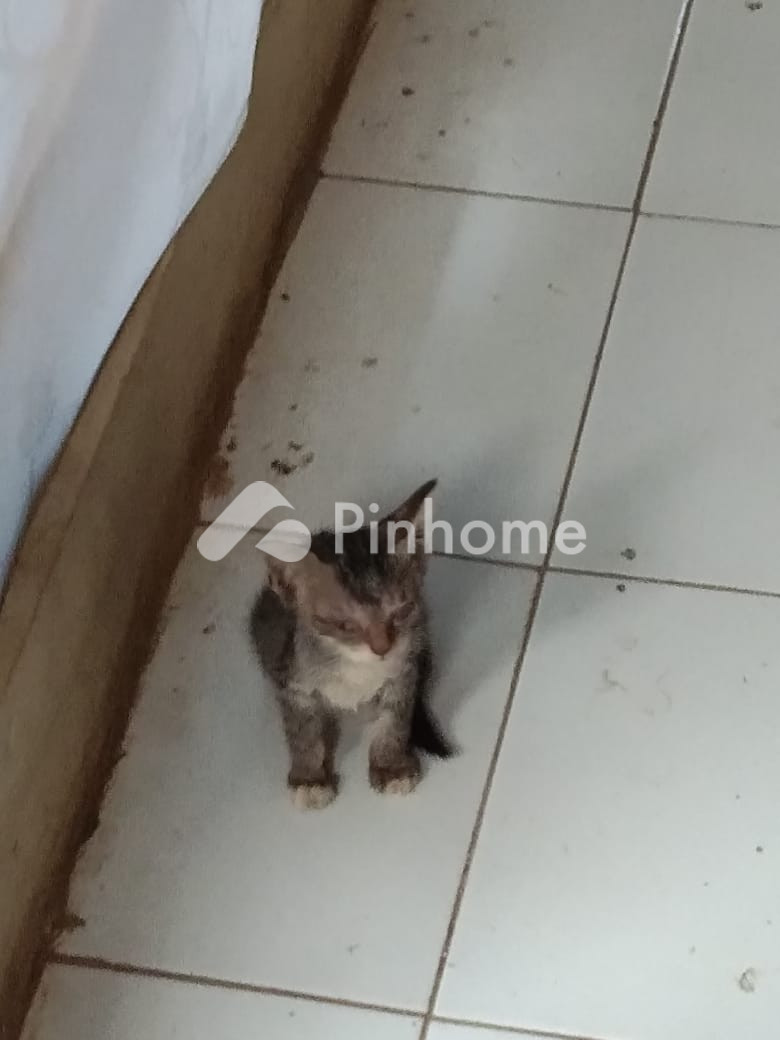 dijual apartemen 500m2 di kunduran
