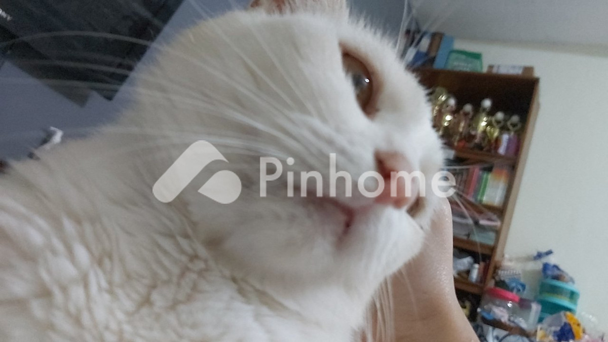 dijual rumah 1 lantai 1kt 122m2 di sungai beras