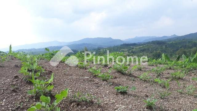 dijual tanah residensial strategis di bukit tusam