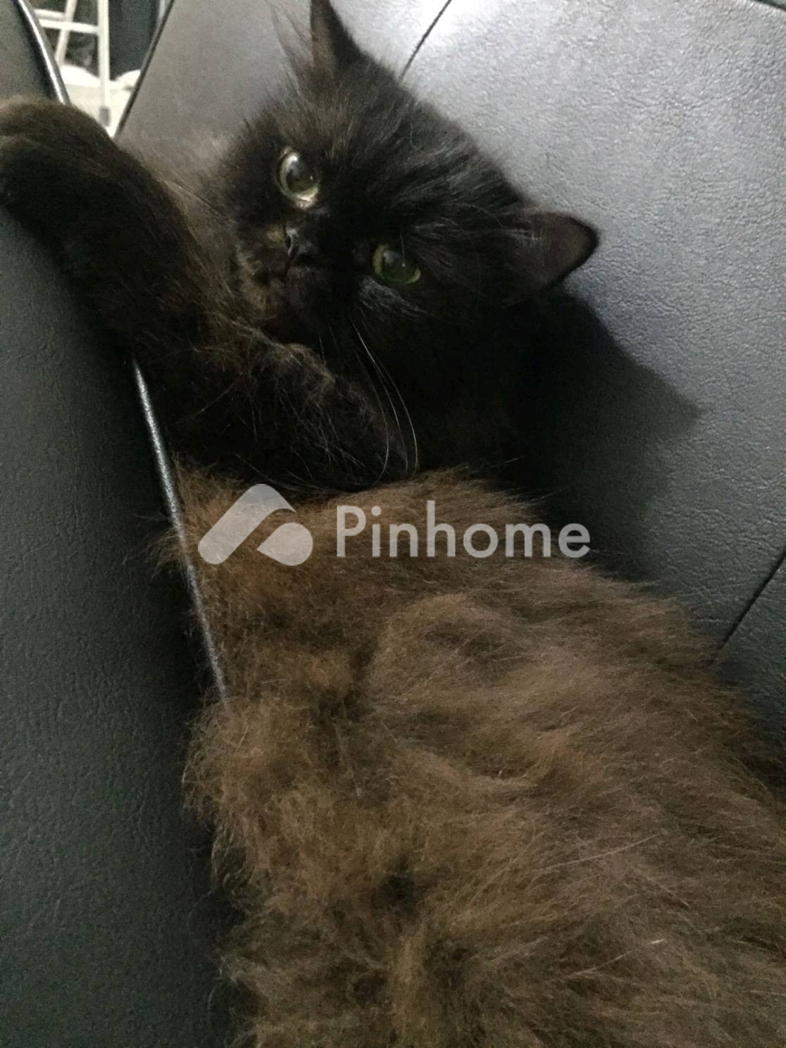dijual rumah approve 6 di lhoksukon