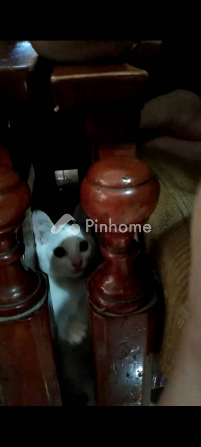 dijual rumah satu dua tiga di jalan cendrawasih