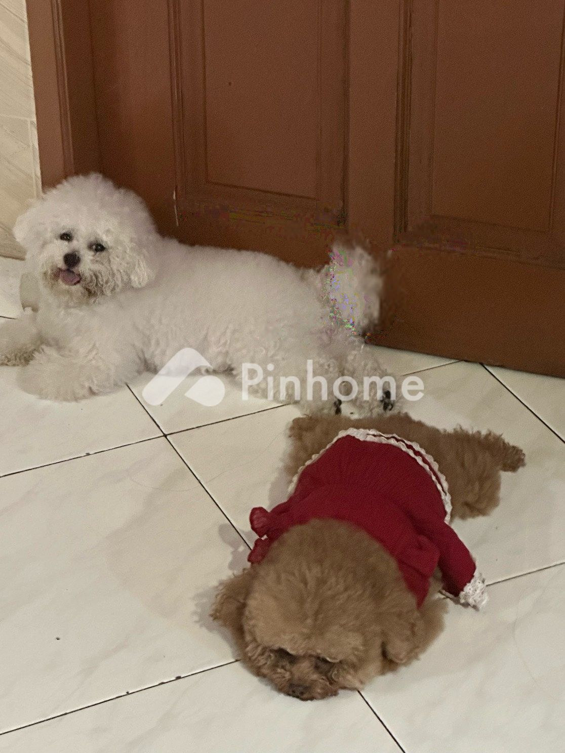 dijual rumah di menteng