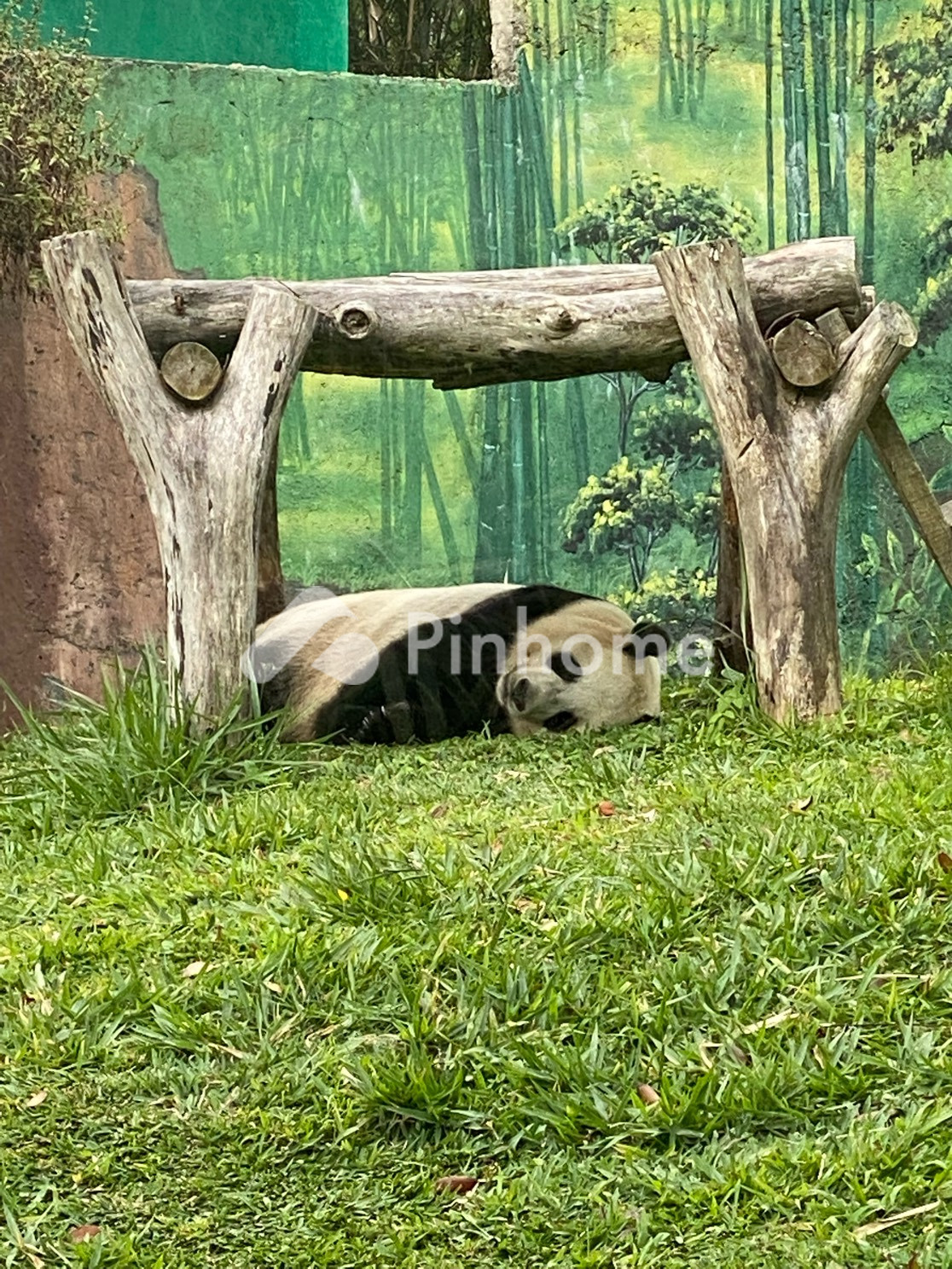 disewakan rumah uyeyeeee di malalak  malakak