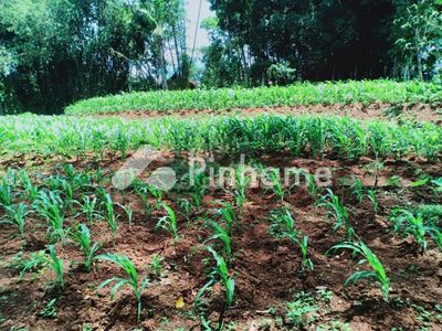 dijual tanah komersial lelang bebas banjir di jl kel rum - 4
