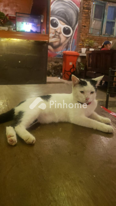dijual rumah 11kt 500m2 di jalan utm - 5