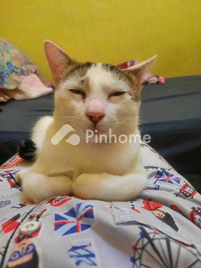 dijual rumah 2kt 100m2 di test jalan 0708a - 2