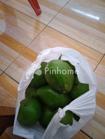 dijual rumah murah di coba saja dulu nanti - 4