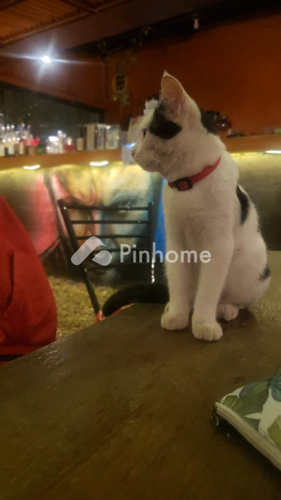 dijual rumah 1kt 60m2 di jalan kecil - 3
