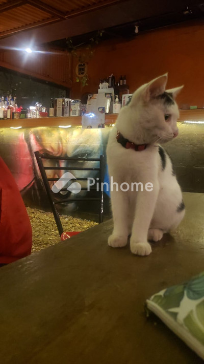dijual rumah 1kt 60m2 di jalan kecil - 5