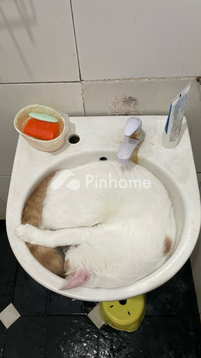 dijual rumah heic heif webp dan avif di karet - 3