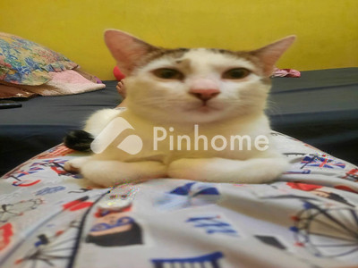 dijual rumah di pasar baru - 4