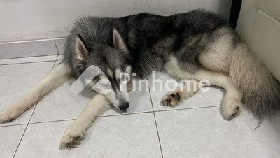 dijual apartemen banget di jalan gedang - 5