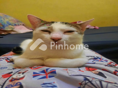 dijual rumah di pasar baru - 5