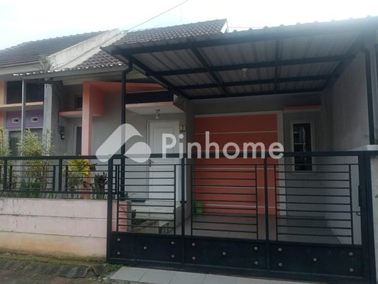 Rumah Roboh di Sumbersari (Sumber Sari), Kab. Jember - 19