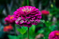 Rumah Dijual di Moro moro podo land, Cisoka, Kab. Tangerang, 1 KM, 1-2 KT, LT 1-156m², LB 5-50m² - 2