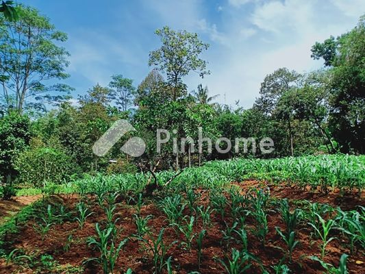 Tanah Komersial Dijual di Cilandak, Kota Jakarta Selatan, LT 389m²