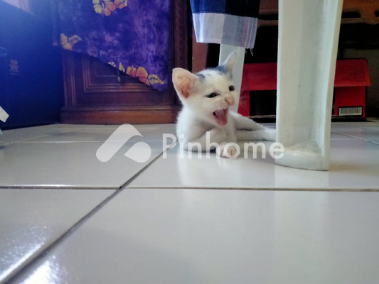 Rumah Dijual di Matangkuli, Kab. Aceh Utara, 1 KM, 1 KT, LT 100m², LB 100m²