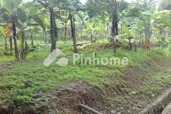 Tanah Komersial Dijual di Galur, Kab. Kulon Progo, LT 120m² - 2