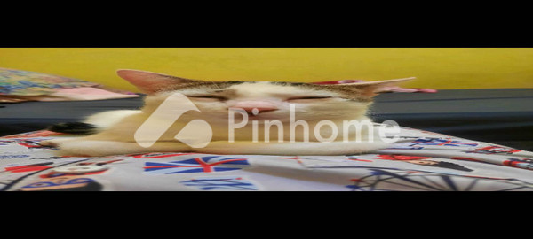 Rumah Dijual di Pancoran, Kota Jakarta Selatan, 4 KM, 5 KT, LT 400m², LB 440m²