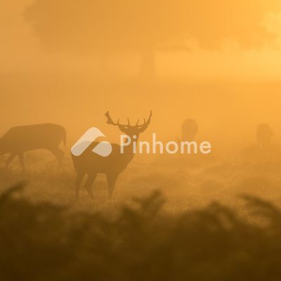 Tanah Komersial Dijual di Ketambe, Kab. Aceh Tenggara, LT 50000m²
