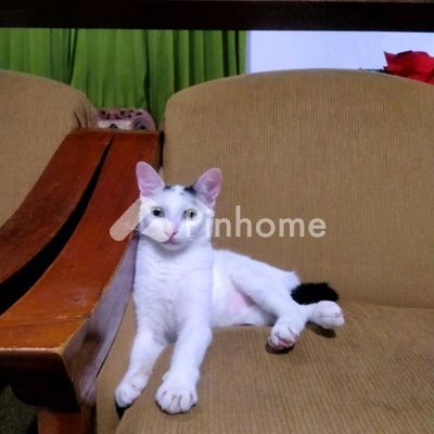Tanah Komersial Dijual di Bekasi Selatan, Kota Bekasi, LT 200m² - 1