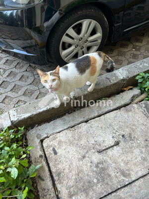 Ruko Dijual di Panga (Keude Panga), Kab. Aceh Jaya, 4 KM, LB 33m² - 2