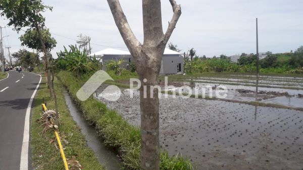 Tanah Komersial Dijual di Galur, Kab. Kulon Progo, LT 120m²