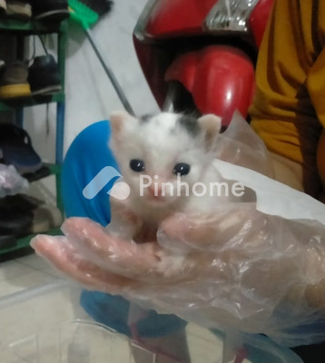 Ruko Dijual di Julok, Kab. Aceh Timur, 4 KM, 8 KT, LB 20088m²
