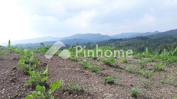 Tanah Dijual di Bukit Tusam, Kab. Aceh Tenggara, LT 500m²