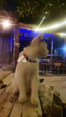 Rumah Dijual di Tebet, Kota Jakarta Selatan, 1 KM, 1 KT, LT 60m², LB 60m² - 3