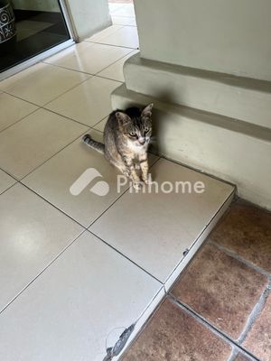 Tanah Dijual di Kluet Timur, Kab. Aceh Selatan, LT 22m² - 2