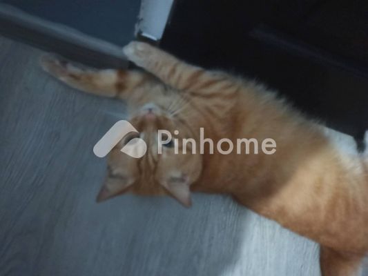 Tanah Komersial Dijual di Cibinong, Kab. Bogor, LT 388m²