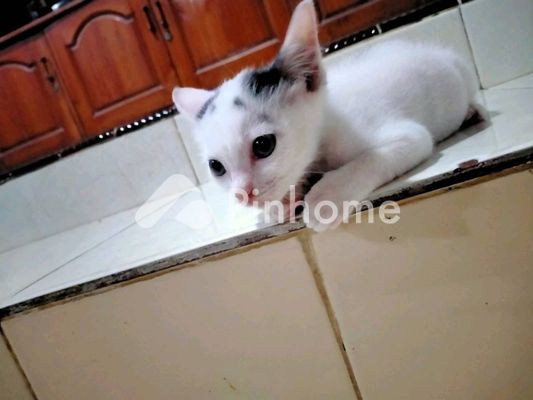 Tanah Komersial Dijual di Bekasi Selatan, Kota Bekasi, LT 200m²
