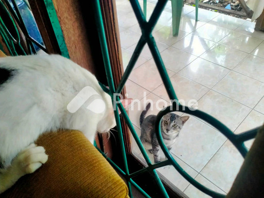 Ruko Dijual di Lapang, Kab. Aceh Utara, 1 KM, LB 3000m² - 2