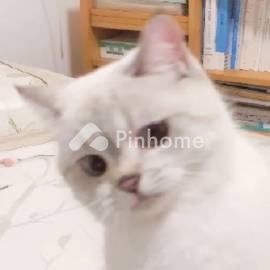Apartemen Dijual di Bogor Selatan, Kota Bogor, 1 KM, 1 KT, LB 50m² - 1