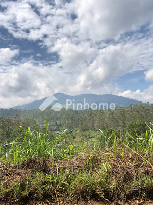 Apartemen Dijual di Pantar Baru Laut (Pantar Barat Laut), Kab. Alor, 2 KM, 6 KT, LB 20m² - 9