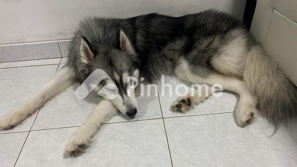 Apartemen Dijual di Gading Cempaka, Kota Bengkulu, 2 KM, 3 KT, LB 50m² - 4