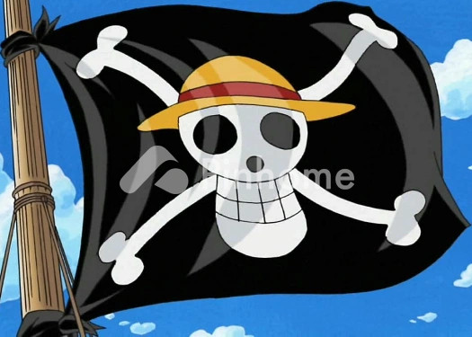 mugiwara pirates - 1
