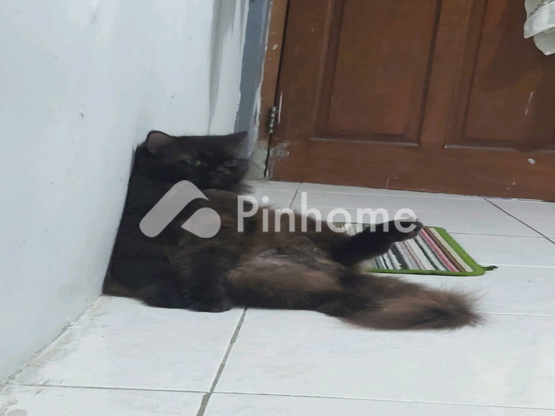 dijual apartemen 1m2 di g - 2