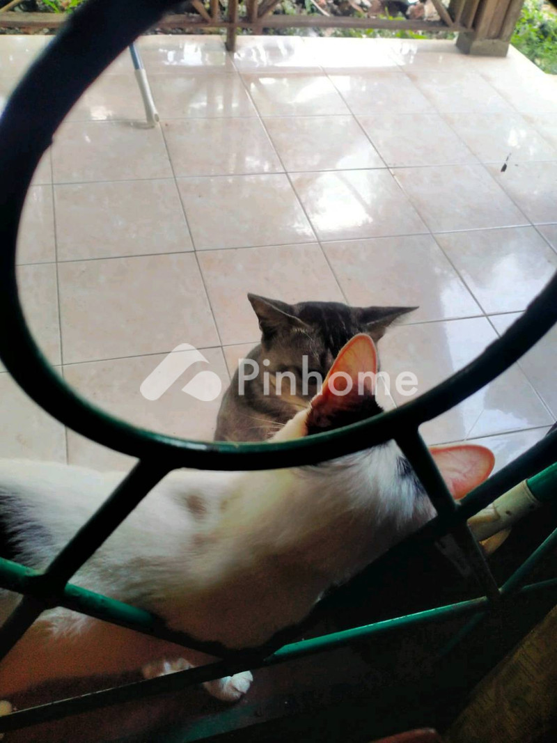 dijual ruko rukoan di lapang - 2