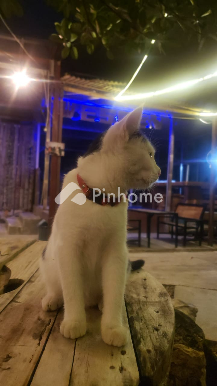 dijual rumah 3kt 900m2 di jalan tengah rel - 1