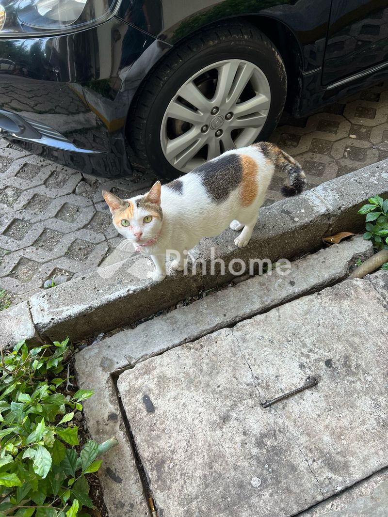 dijual tanah residensial jhujjjj di lawe buluh didi - 1