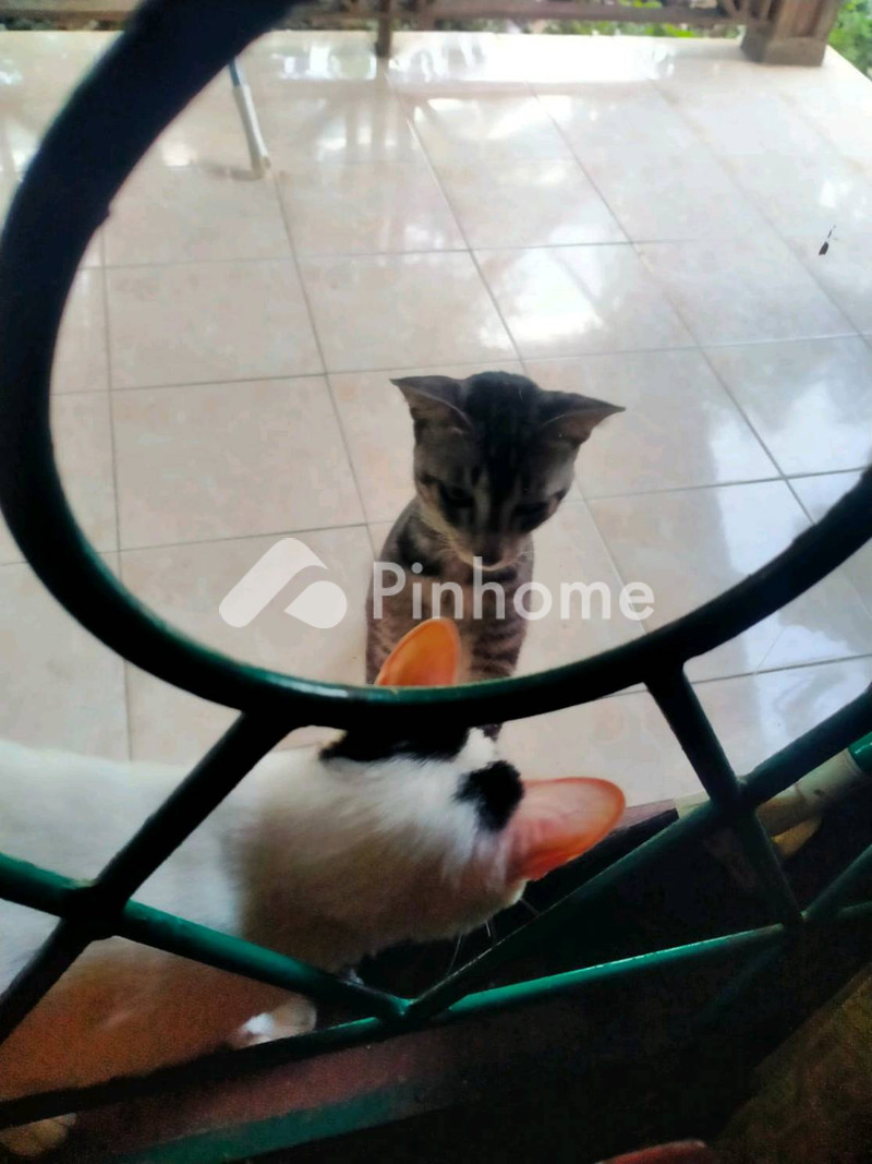 dijual ruko rukoan di lapang - 1